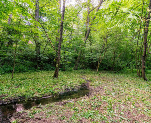 Duchonka / Pozemok  na výstavbu chaty v lone prírody