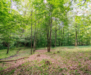 Duchonka / Pozemok  na výstavbu chaty v lone prírody