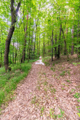 Duchonka / Pozemok  na výstavbu chaty v lone prírody