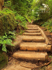 Duchonka / Pozemok  na výstavbu chaty v lone prírody