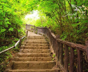 Duchonka / Pozemok  na výstavbu chaty v lone prírody