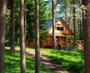 Duchonka / Pozemok  na výstavbu chaty v lone prírody