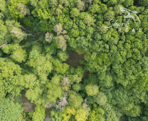 Duchonka / Pozemok  na výstavbu chaty v lone prírody