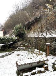 Rodinný dom v centre mesta s potenciálom