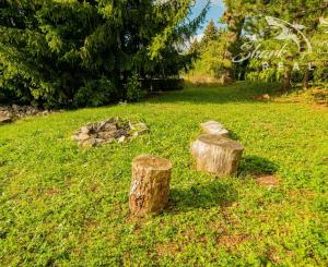 Na prenájom očarujúci penzión Dahlia s vynikajúcimi recenziami, reštauráciou, welness a ihriskom