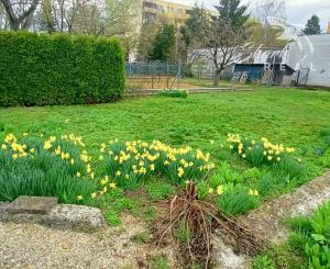 Priestranný rodinný dom s veľkou záhradou v TOP lokalite!