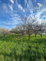 Slnečný rovinatý pozemok o výmere 408 m² v meste VRBOVÉ