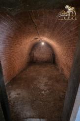 PRIESTRANNÝ RODINNÝ DOM S VEĽKÝM POZEMKOM A DRUHOU STAVBOU – CABAJ-ČÁPOR (PEREŠ)