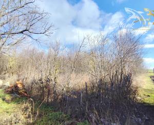 Novinka! Menší dom s rozsiahlym pozemkom v TOP lokalite