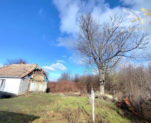 Novinka! Menší dom s rozsiahlym pozemkom v TOP lokalite