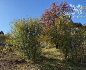 EKONOMICKÁ CENA _ 700 m2 _ Rekreačný pozemok _MLADÁ GARDA Bratislava