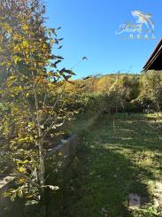 EKONOMICKÁ CENA _ 700 m2 _ Rekreačný pozemok _MLADÁ GARDA Bratislava