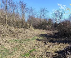 Stavebný pozemok so starším domom a predaj 