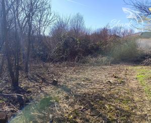 Stavebný pozemok so starším domom a predaj 