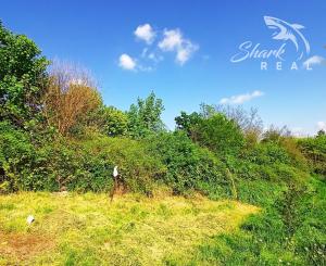 Stavebný pozemok so starším domom a predaj 