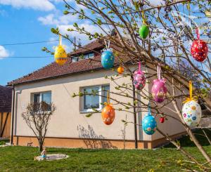 Vkusne zmodernizovaný rodinný dom + 1 726 m² krásnej záhrady