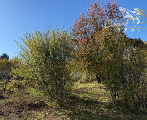 ZAHRADA 700 m2 _  Mladá Garda