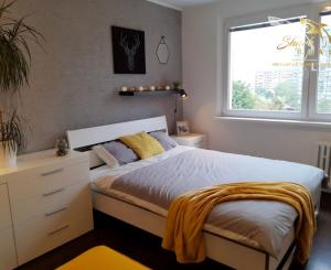 SHARK REAL vám ponúka prenájom pekného 1i bytu v Dúbravke