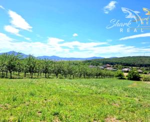 Stavebný pozemok v obci Veľká Tŕňa (Tokajská oblasť)