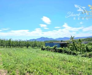 Stavebný pozemok v obci Veľká Tŕňa (Tokajská oblasť)