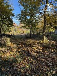 ZÁHRADA 776 m2 _ Predaj _ Suchá nad Parnou