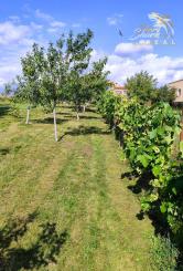 Slnečný pozemok s panoramatickým výhľadom