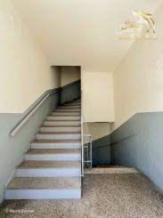 Staré Mesto meets Downtown | 1i, rekonštrukcia 2026 | Soren, NIVY, Medická záhrada