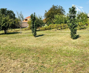 Na predaj 4-izbový vidiecky dom v obci Branč
