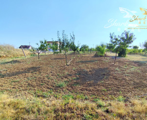 Slnečný pozemok s viničom a nádherným výhľadom