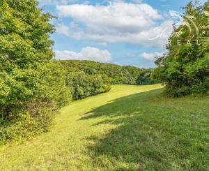 Únik do prírody len pár minút od Trenčína - pozemok 3 780 m²
