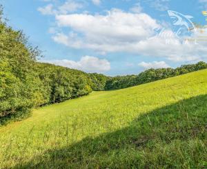 Únik do prírody len pár minút od Trenčína - pozemok 3 780 m²