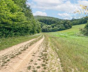 Únik do prírody len pár minút od Trenčína - pozemok 3 780 m²