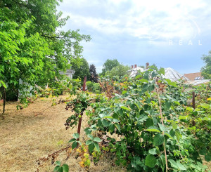 RODINNÝ DOM V TICHEJ OBCI TUŠICE