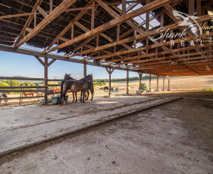 KÚSOK SLOVENSKA PRE VÁŠ FARMÁRSKY SEN – 27 HA, PODKYLAVA