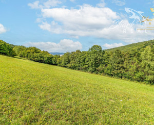 Únik do prírody len pár minút od Trenčína - pozemok 3 780 m²