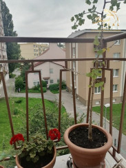 Na predaj priestranný slnečný 3-izbový byt na Krajinskej ulici