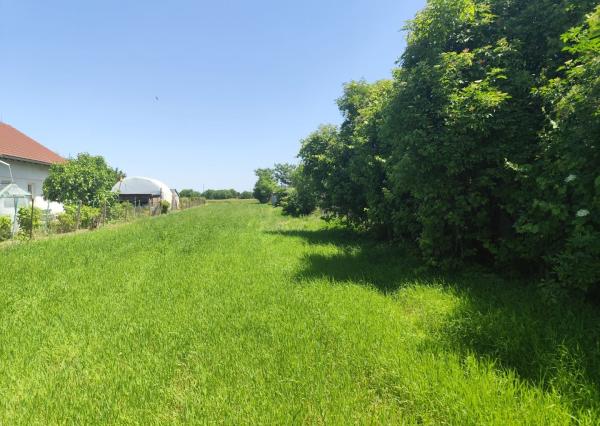 Ponúkam na predaj krásny pozemok vo výbornej lokalite.