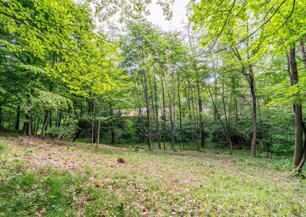 Pozemok v lone prírody s potôčikom– ideálny pre vašu vysnívanú chatu!