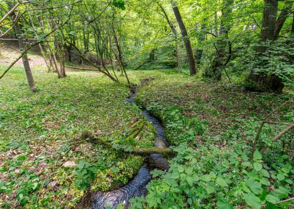Pozemok v lone prírody s potôčikom– ideálny pre vašu vysnívanú chatu!