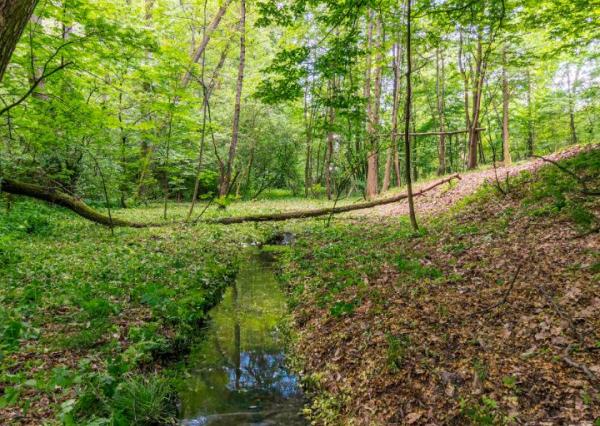 Pozemok v lone prírody s potôčikom– ideálny pre vašu vysnívanú chatu!