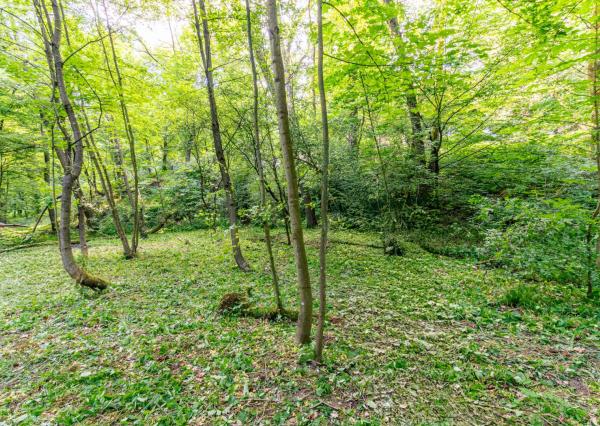 Pozemok v lone prírody s potôčikom– ideálny pre vašu vysnívanú chatu!