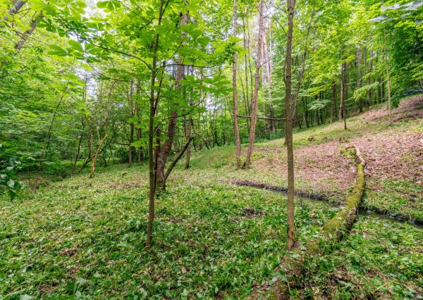 Pozemok v lone prírody s potôčikom– ideálny pre vašu vysnívanú chatu!