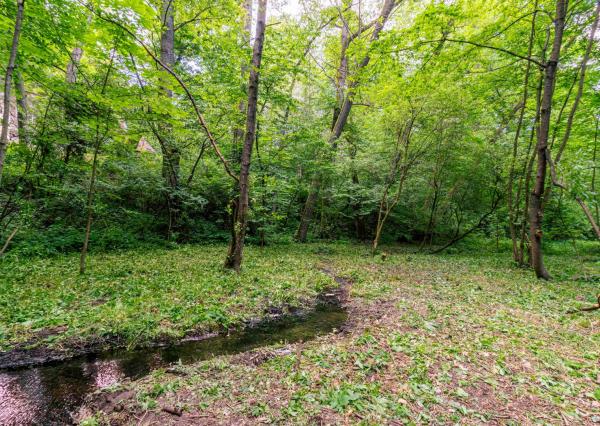 Pozemok v lone prírody s potôčikom– ideálny pre vašu vysnívanú chatu!