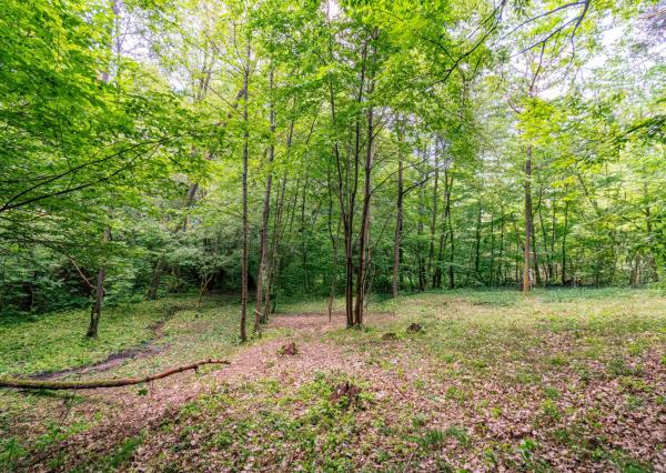 Pozemok v lone prírody s potôčikom– ideálny pre vašu vysnívanú chatu!