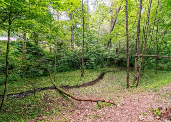Pozemok v lone prírody s potôčikom– ideálny pre vašu vysnívanú chatu!