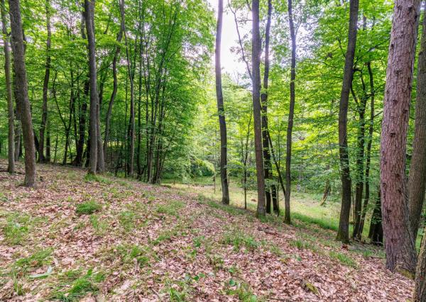 Pozemok v lone prírody s potôčikom– ideálny pre vašu vysnívanú chatu!