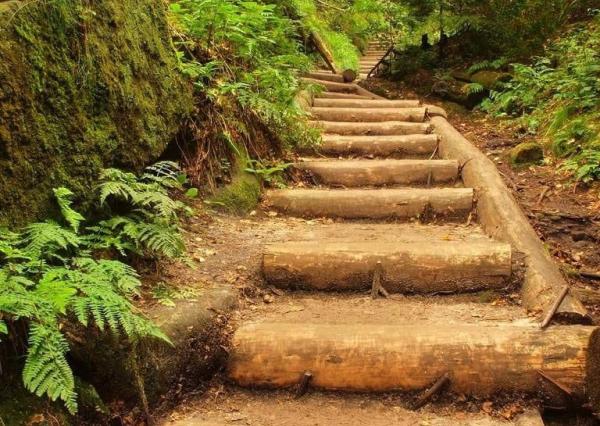 Pozemok v lone prírody s potôčikom– ideálny pre vašu vysnívanú chatu!