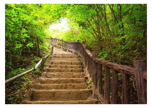 Pozemok v lone prírody s potôčikom– ideálny pre vašu vysnívanú chatu!