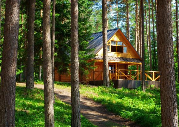 Pozemok v lone prírody s potôčikom– ideálny pre vašu vysnívanú chatu!