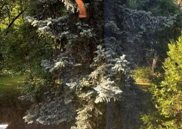 Pekne zariadený 3-izbový byt v centre Ružinova